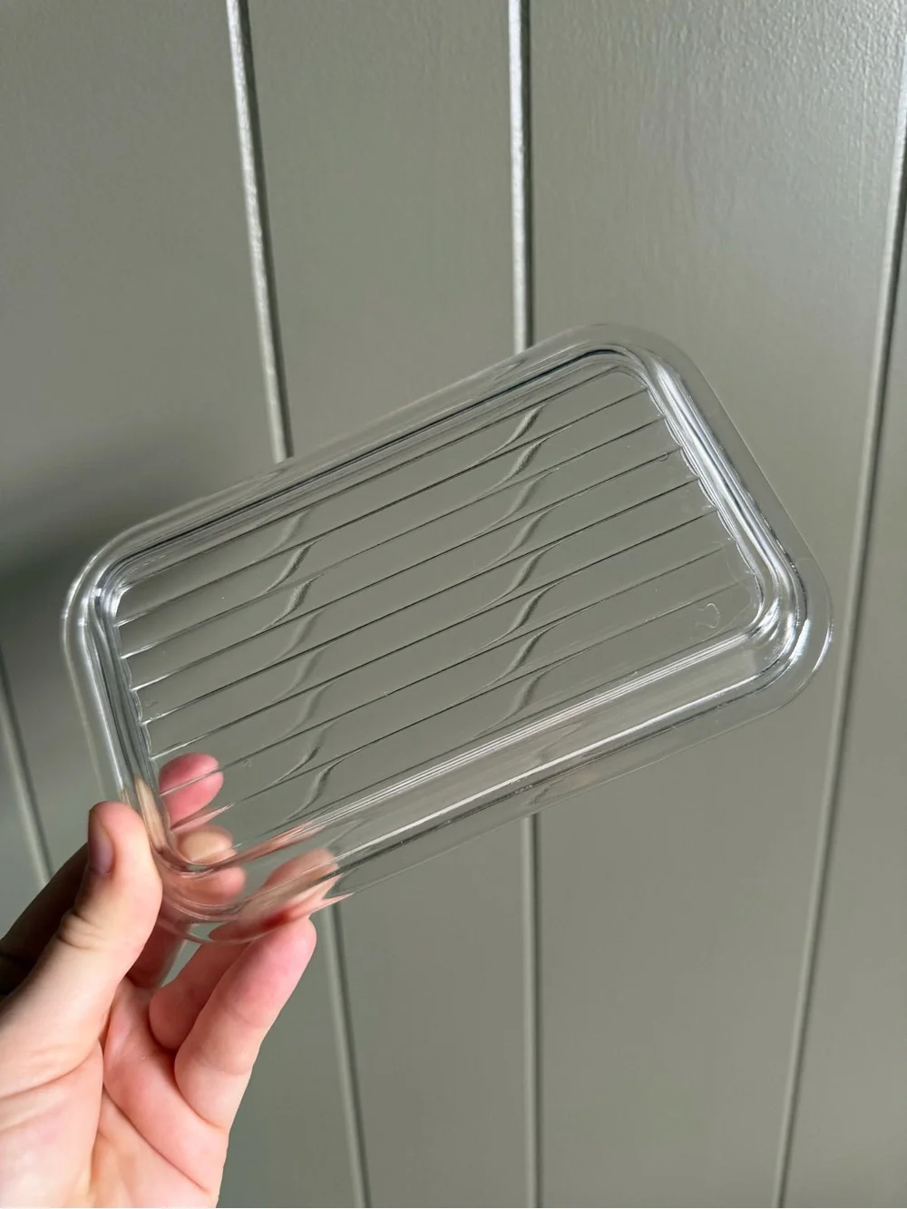 Pyrex Gooseberry Refrigerator Set